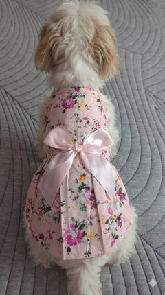 Sweet Blossom Bow Dog Dress