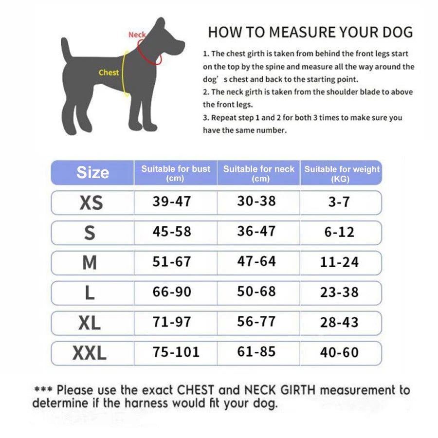 How to measure your dog (lbs)