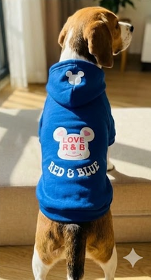 Love R & B Dog Hoodie