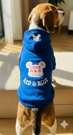 Love R & B Dog Hoodie