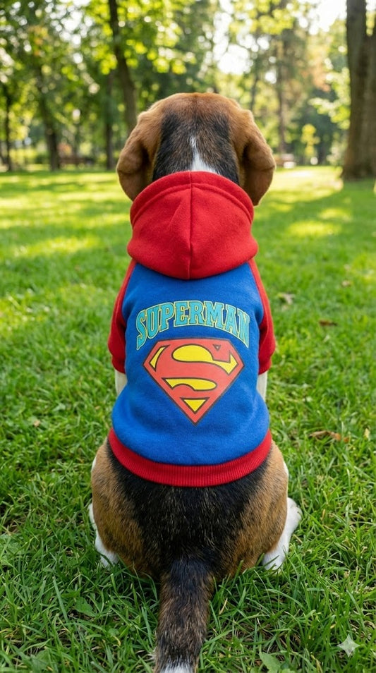 Superdog Hoodie