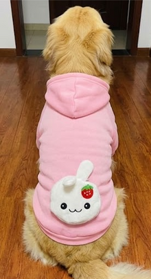 🐰 Pink Bunny Dog Hoodie